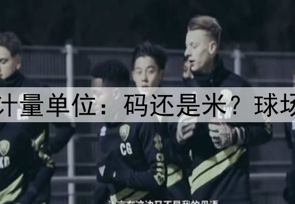 2026世界杯计量单位：码还是米？球场尺寸的统一