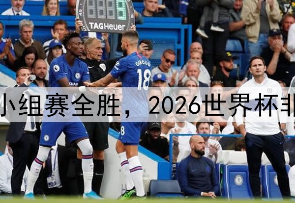 塞内加尔队小组赛全胜，2026世界杯非洲劲旅崛起